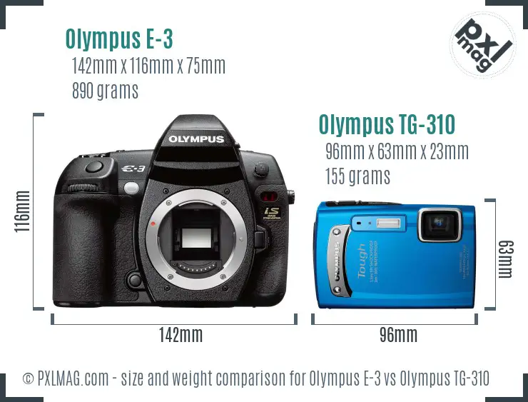 Olympus E-3 vs Olympus TG-310 size comparison