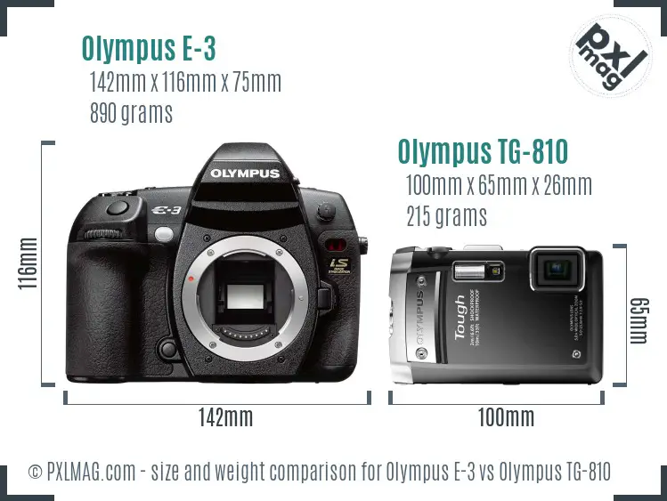 Olympus E-3 vs Olympus TG-810 size comparison