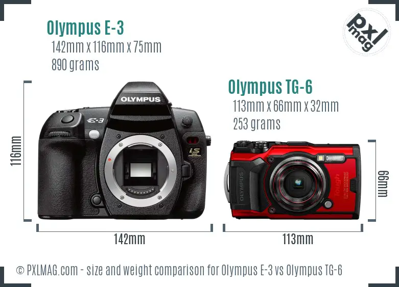 Olympus E-3 vs Olympus TG-6 size comparison
