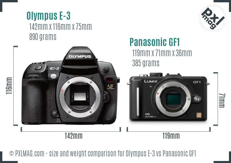 Olympus E-3 vs Panasonic GF1 size comparison