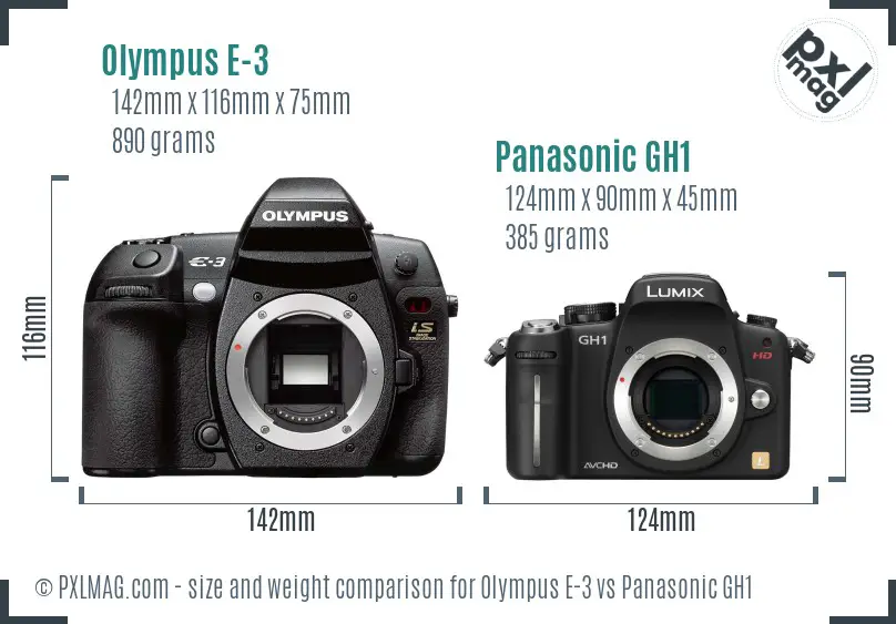 Olympus E-3 vs Panasonic GH1 size comparison