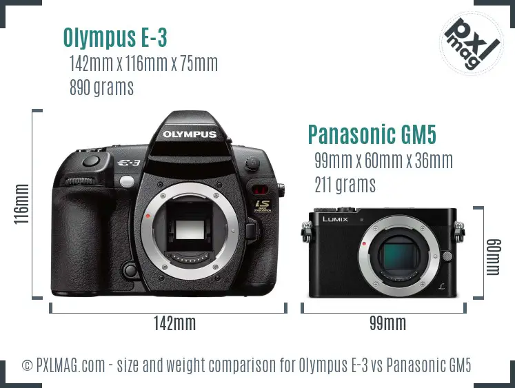 Olympus E-3 vs Panasonic GM5 size comparison