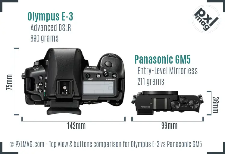 Olympus E-3 vs Panasonic GM5 top view buttons comparison