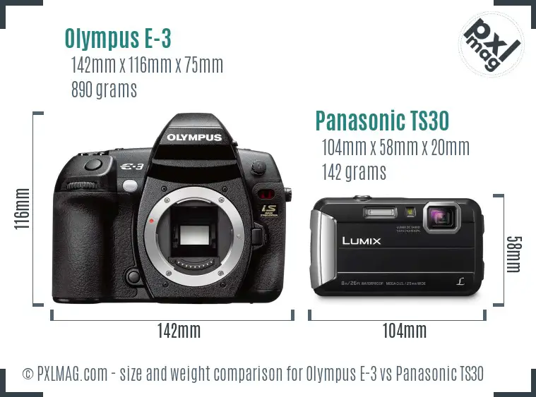 Olympus E-3 vs Panasonic TS30 size comparison