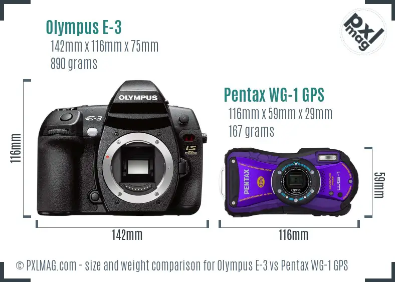 Olympus E-3 vs Pentax WG-1 GPS size comparison