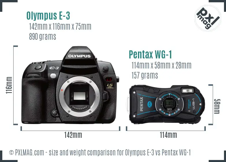 Olympus E-3 vs Pentax WG-1 size comparison