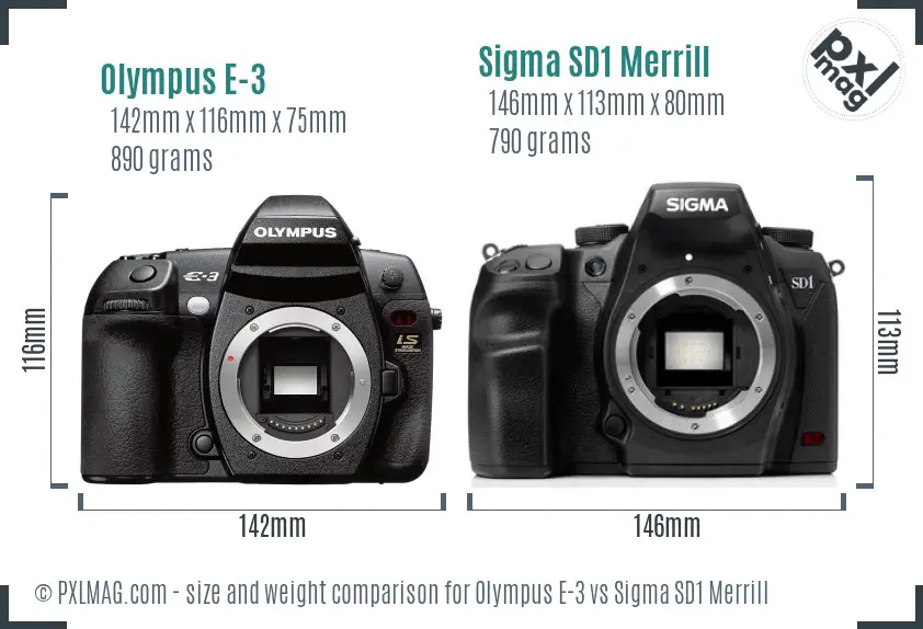 Olympus E-3 vs Sigma SD1 Merrill size comparison