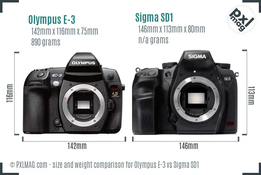 Olympus E-3 vs Sigma SD1 size comparison