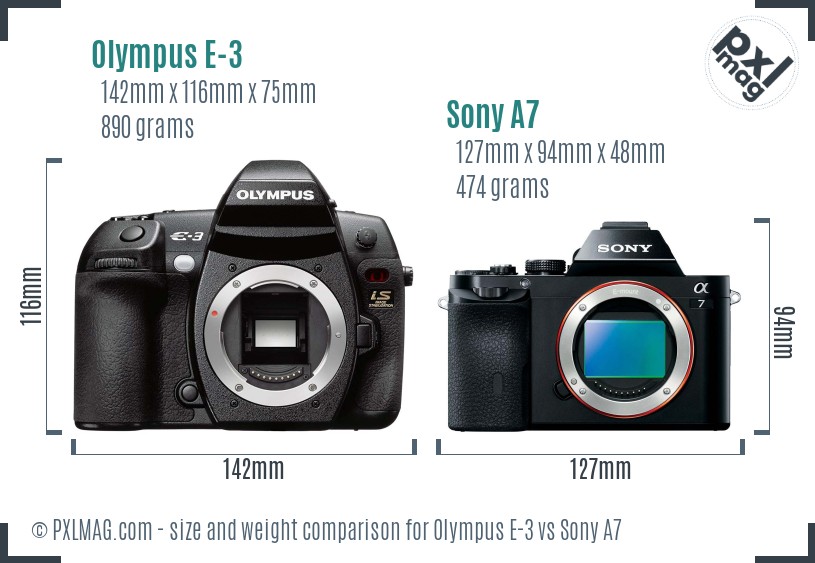 Olympus E-3 vs Sony A7 size comparison Olympus E-3 vs Sony A7 size comparison