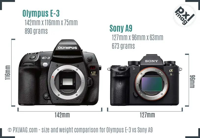 Olympus E-3 vs Sony A9 size comparison