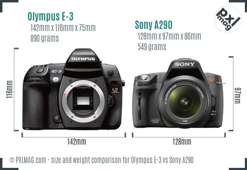 Olympus E-3 vs Sony A290 size comparison