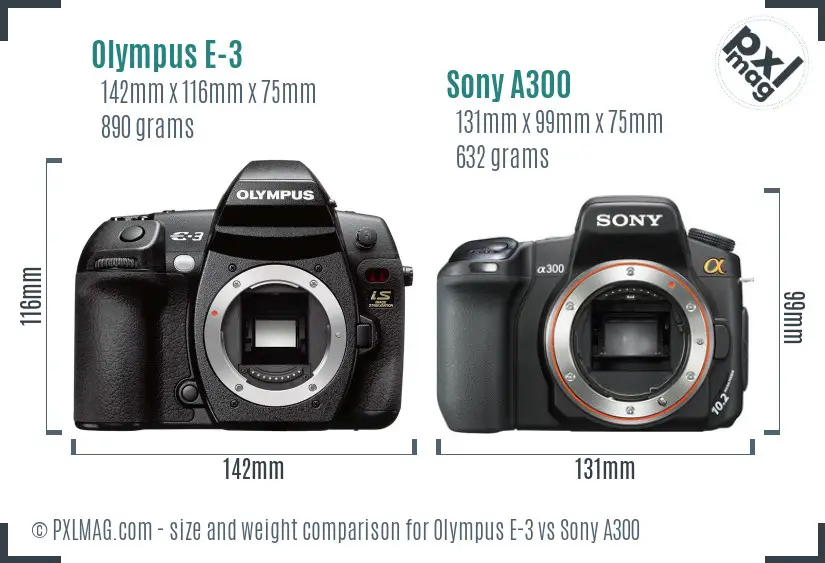 Olympus E-3 vs Sony A300 size comparison
