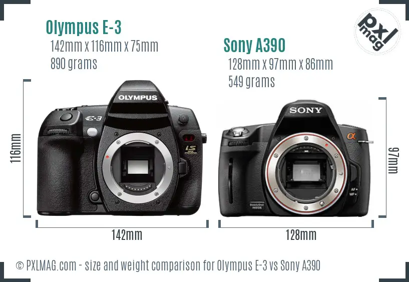 Olympus E-3 vs Sony A390 size comparison