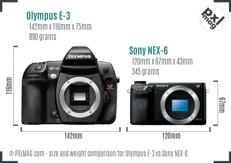 Olympus E-3 vs Sony NEX-6 size comparison