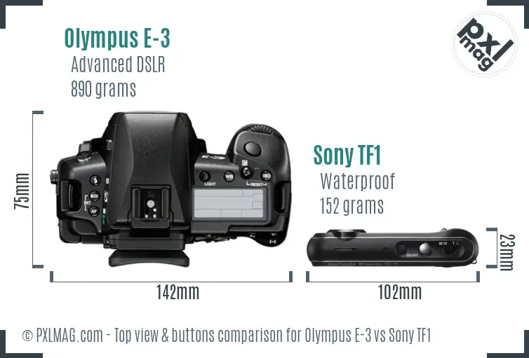 Olympus E-3 vs Sony TF1 top view buttons comparison