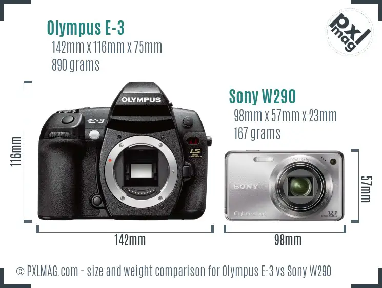 Olympus E-3 vs Sony W290 size comparison Olympus E-3 vs Sony W290 size comparison