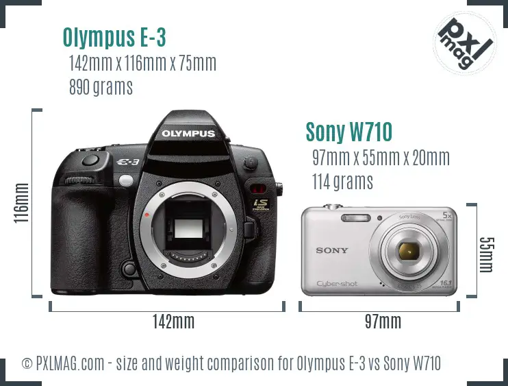 Olympus E-3 vs Sony W710 size comparison