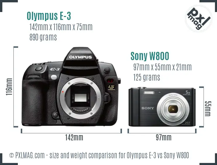 Olympus E-3 vs Sony W800 size comparison