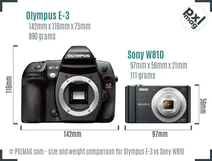 Olympus E-3 vs Sony W810 size comparison