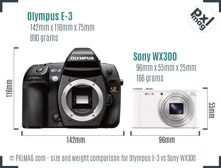 Olympus E-3 vs Sony WX300 size comparison