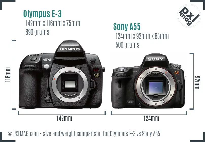 Olympus E-3 vs Sony A55 size comparison