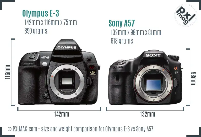 Olympus E-3 vs Sony A57 size comparison