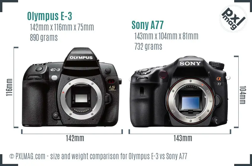 Olympus E-3 vs Sony A77 size comparison