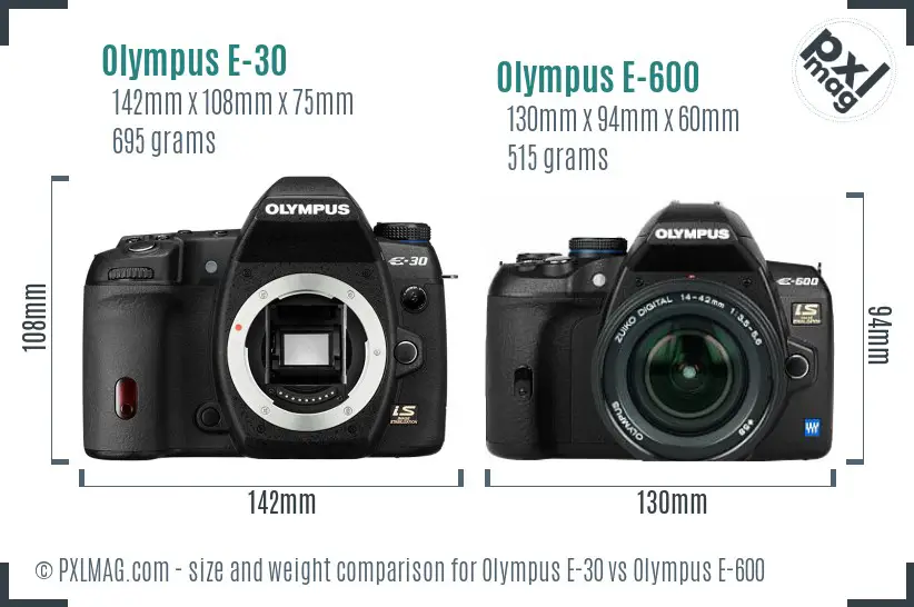 Olympus E-30 vs Olympus E-600 size comparison
