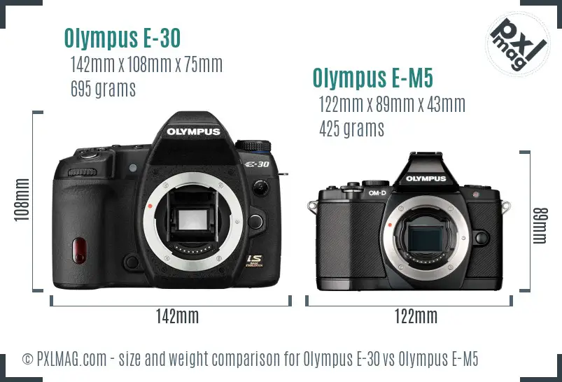 Olympus E-30 vs Olympus E-M5 size comparison
