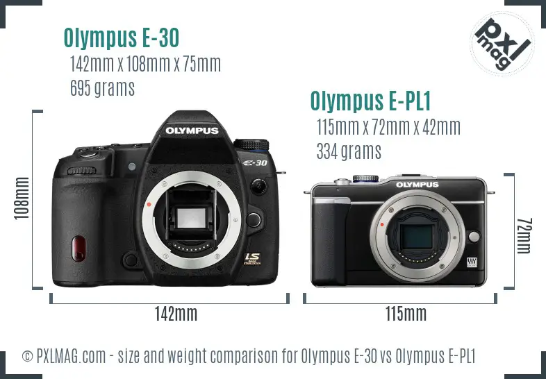 Olympus E-30 vs Olympus E-PL1 size comparison