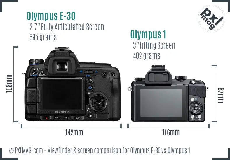 Olympus E-30 vs Olympus 1 Screen and Viewfinder comparison