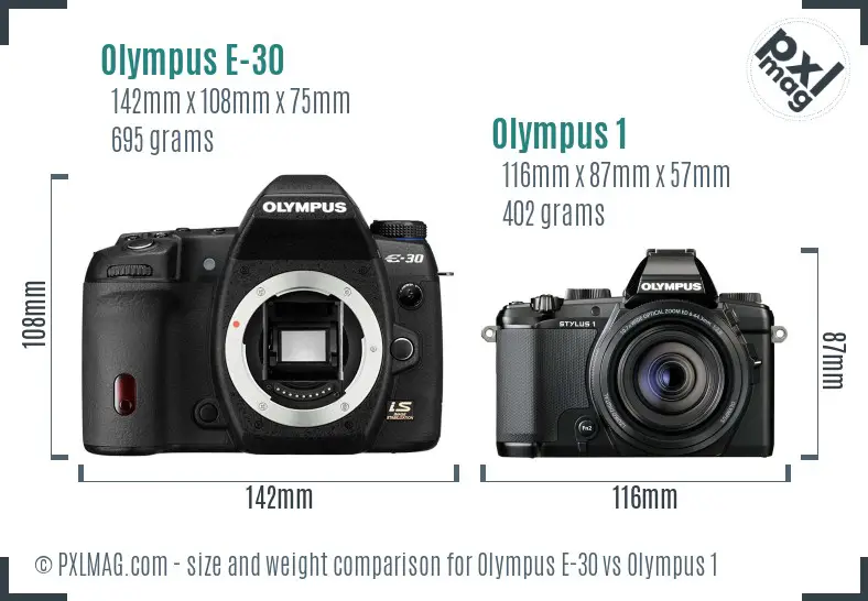 Olympus E-30 vs Olympus 1 size comparison