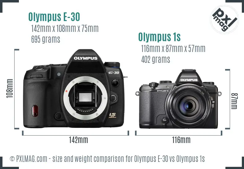 Olympus E-30 vs Olympus 1s size comparison