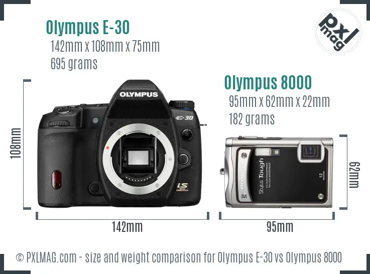 Olympus E-30 vs Olympus 8000 size comparison