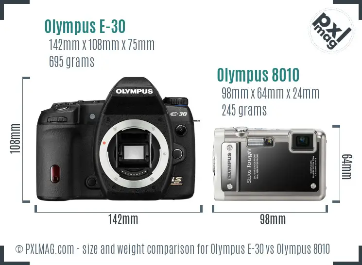 Olympus E-30 vs Olympus 8010 size comparison