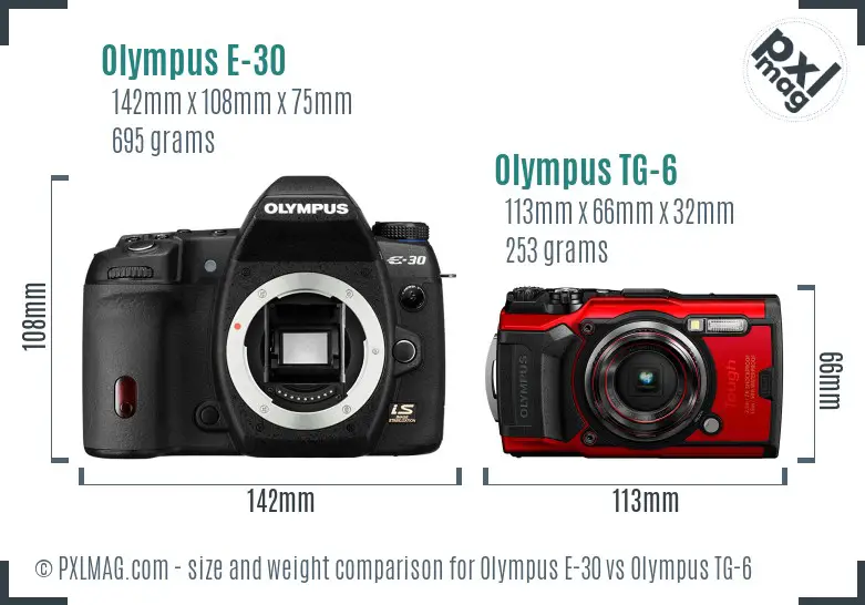 Olympus E-30 vs Olympus TG-6 size comparison