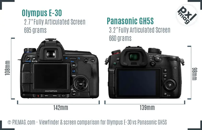 Olympus E-30 vs Panasonic GH5S Screen and Viewfinder comparison