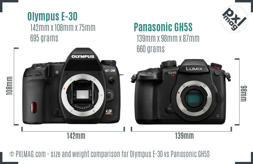 Olympus E-30 vs Panasonic GH5S size comparison