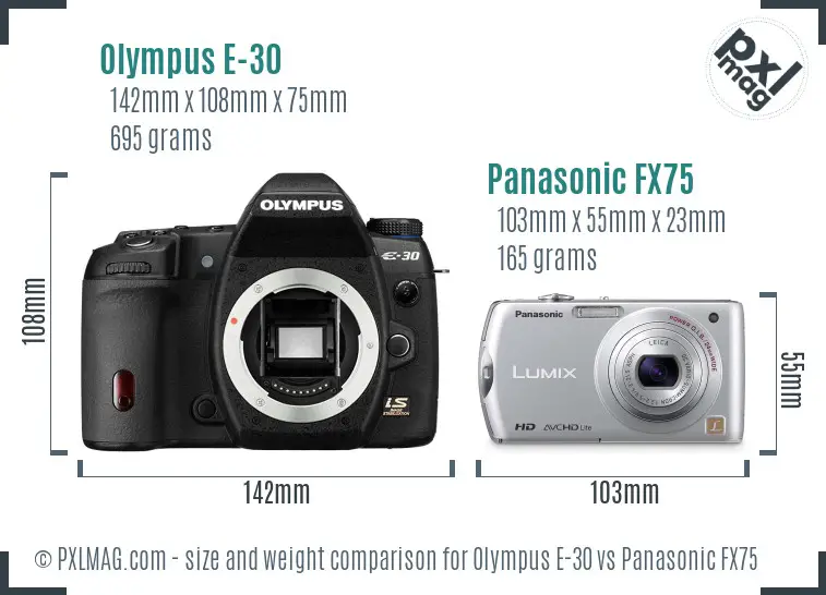 Olympus E-30 vs Panasonic FX75 size comparison