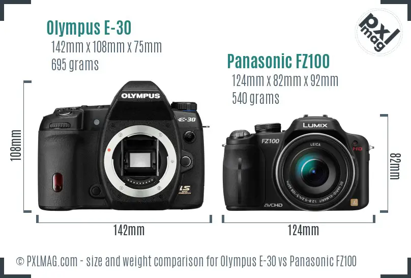 Olympus E-30 vs Panasonic FZ100 size comparison