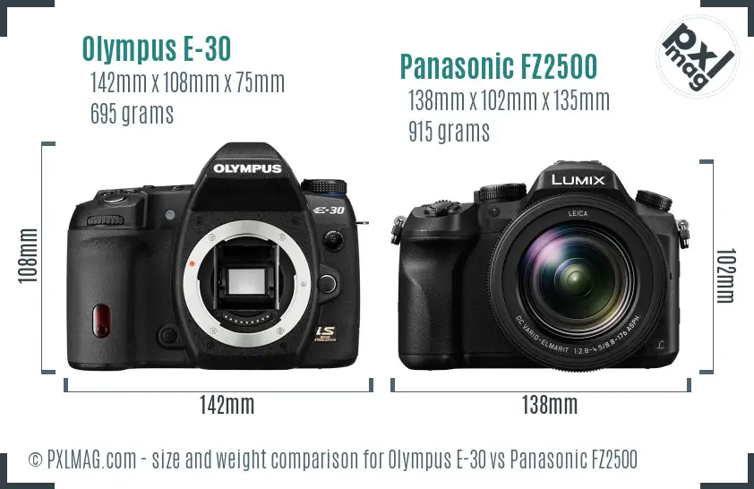 Olympus E-30 vs Panasonic FZ2500 size comparison