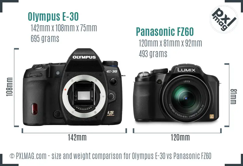 Olympus E-30 vs Panasonic FZ60 size comparison