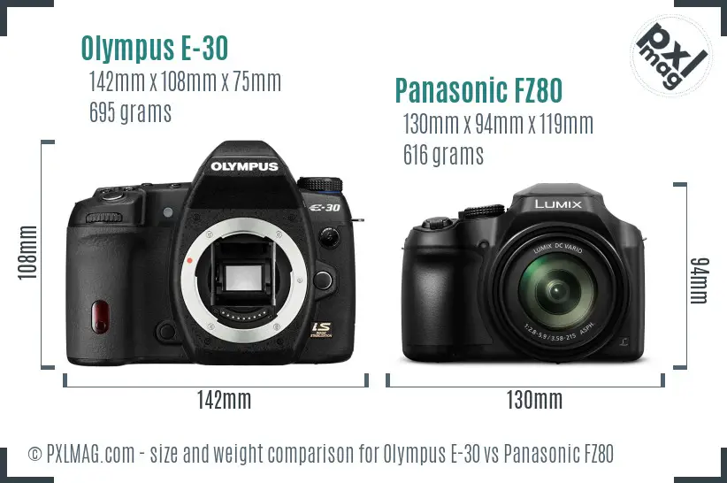 Olympus E-30 vs Panasonic FZ80 size comparison