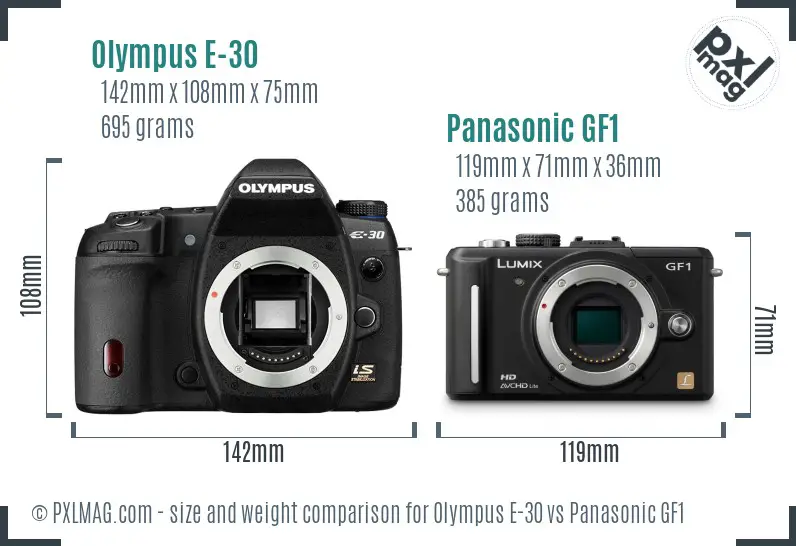 Olympus E-30 vs Panasonic GF1 size comparison