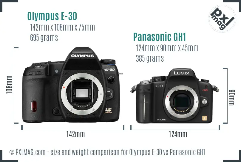 Olympus E-30 vs Panasonic GH1 size comparison