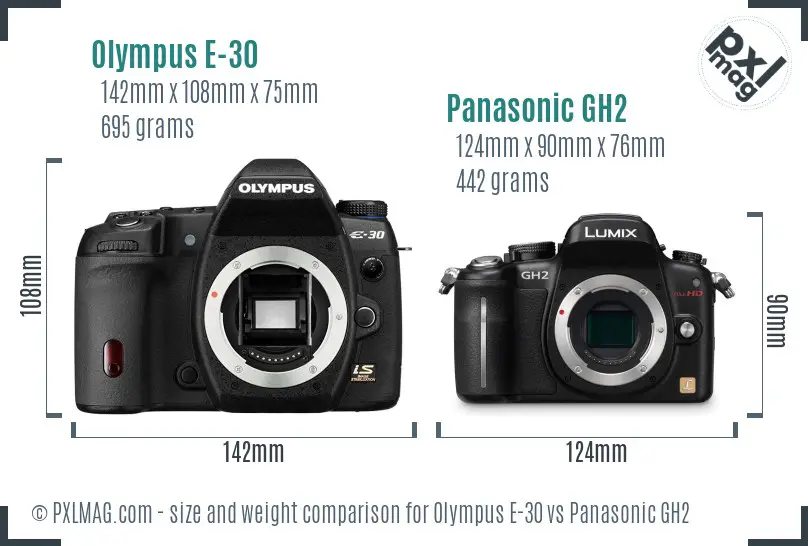 Olympus E-30 vs Panasonic GH2 size comparison