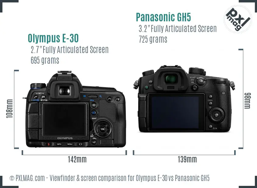 Olympus E-30 vs Panasonic GH5 Screen and Viewfinder comparison