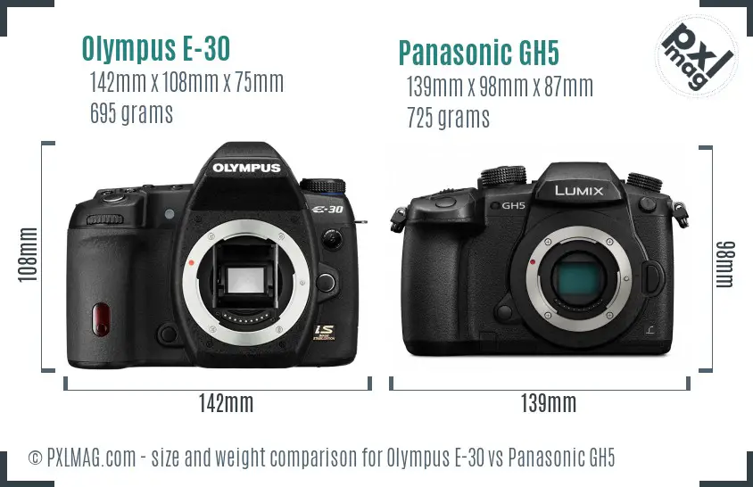 Olympus E-30 vs Panasonic GH5 size comparison