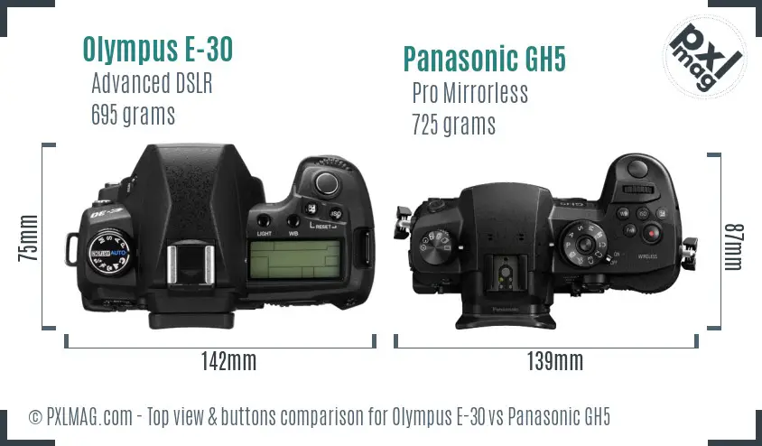 Olympus E-30 vs Panasonic GH5 top view buttons comparison
