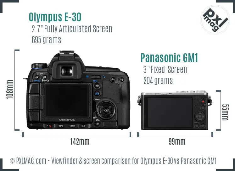 Olympus E-30 vs Panasonic GM1 Screen and Viewfinder comparison